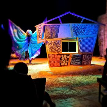 Motel_insectes_kali_titelles_papallona