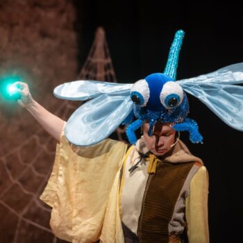 Motel d'insectes_Kali teatre_4